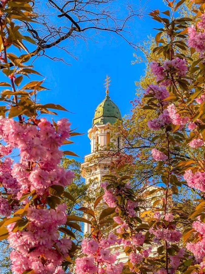 Старовинні Апартаменти У Центрі Міста أوزهورود المظهر الخارجي الصورة